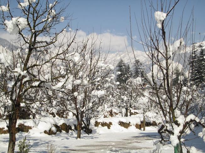 Treebo Trend Celebriti Manali Hotell Vashist Exteriör bild