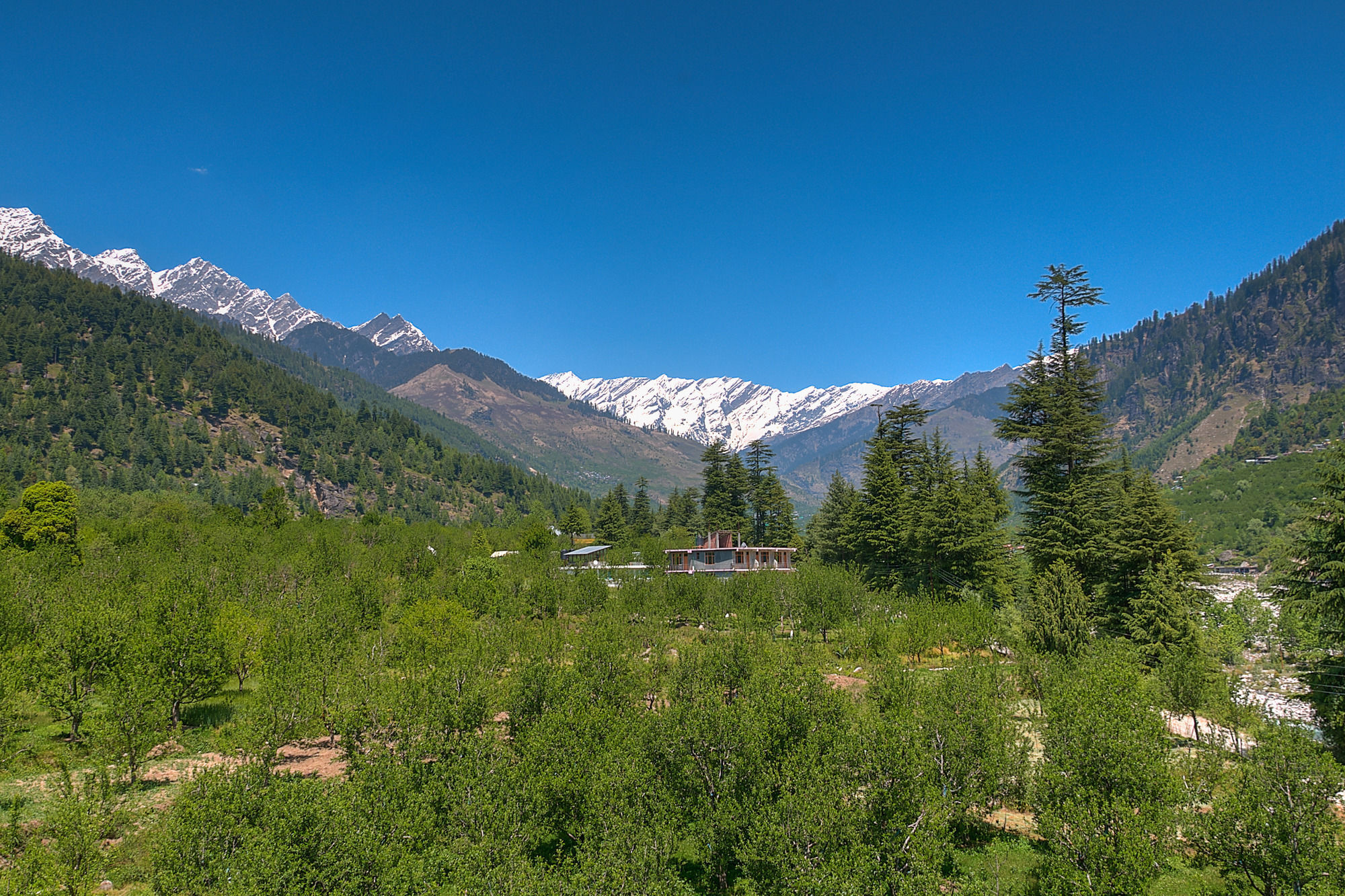 Treebo Trend Celebriti Manali Hotell Vashist Exteriör bild